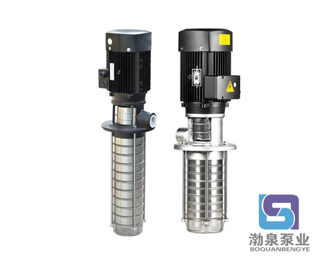 CDLK2-20/2|不銹鋼浸入式多級泵