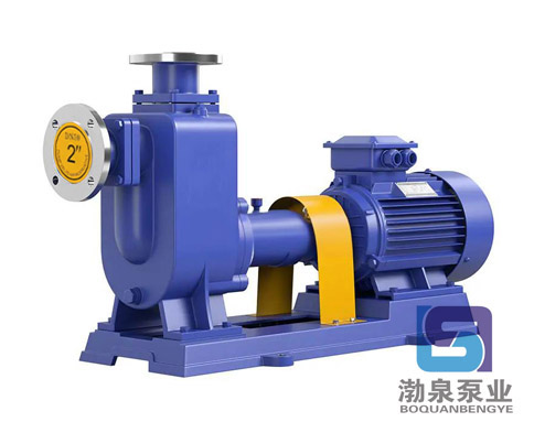 ZW400-2200-10-自吸式無(wú)堵塞排污泵